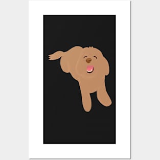 Smiling Brown Fluffy Maltipoo Dog Posters and Art